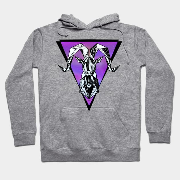 Capricorn zodiac sign Hoodie by mailboxdisco